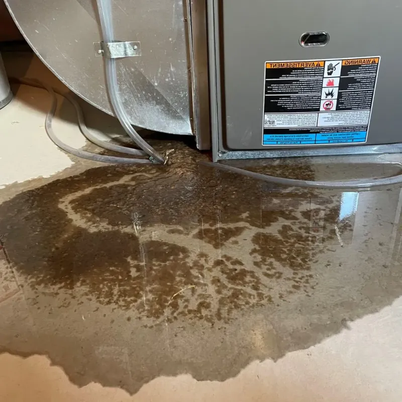 Pipe Burst and Leak Restoration in Melrose, MA